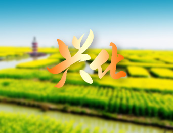 戴南文化藝術中心舞臺機械 舞臺吊桿 舞臺阻燃幕布項目 助力本地文化演出升級，為觀眾帶來更優質的視聽體驗！